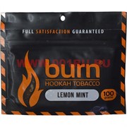 Табак для кальяна Burn 100 гр «Lemon Mint»