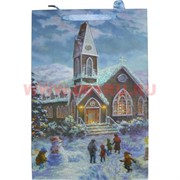 Пакет подарочный новогодний с блестками 26х32см (6231), цена за 20 шт