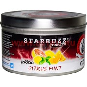 Табак для кальяна оптом Starbuzz 100 гр "Citrus Mint" (цитрусовые с мятой) USA