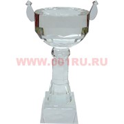 Приз стеклянный 24,5см
