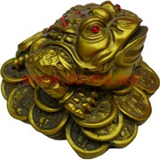 Нецке оптом, Жаба на монетах 7,2 см (JN-14)