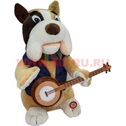 Игрушка (1040) собака музыкальная с гитарой, 24 шт/кор