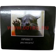 Картинка-прикол &quot;Привет! Рад видеть&quot;