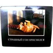 Картинка-прикол &quot;Страшный сон приснился&quot;