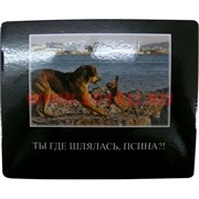 Картинка-прикол &quot;Ты где шлялась, псина?!&quot;