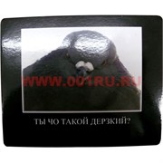 Картинка-прикол &quot;Ты чо такой дерзкий?&quot;