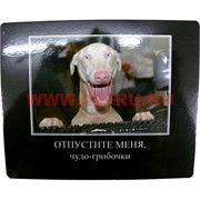 Картинка-прикол &quot;Отпустите меня, чудо грибочки&quot;