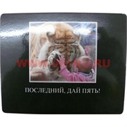 Картинка-прикол &quot;Последний, дай пять!&quot;