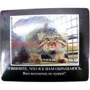 Картинка-прикол "Котеночек"