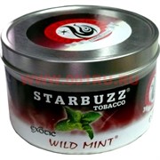 Табак для кальяна оптом Starbuzz 250 гр "Wild Mint Exotic" (дикая мята) USA