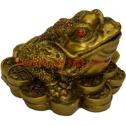 Жаба Феншуй из полистоуна (HN-504) 5,5 см