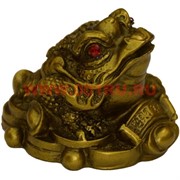 Жаба Феншуй со слитками 3,5 см (HN-527) 336 шт/кор