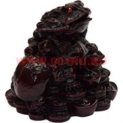 Жаба и 3 черепахи красные (HN-601) 9,5 см 48 шт/кор