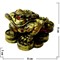 Жаба на монетах (KL-9) феншуйная - фото 107606