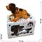 Собачка с качающейся головой с часами в индивидуальной упаковке - фото 112995