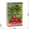 Табак для кальяна Adalya 50 гр "Cranberry" (Адалия Клюква) Турция - фото 113559