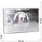 Карты из металлизированного пластика «100 долларов» в серебрянном цвете - фото 114996