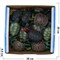 Черепахи мягкие в твердом панцире 24 шт/уп - фото 115612