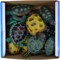Черепахи мягкие в твердом панцире 12 шт/уп - фото 115613