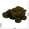 Жаба трехлапая малая из бронзы - фото 116134