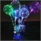 Светящийся шар Бобо светодиодный LED на палочке 3 м - фото 119033