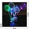 Светящийся шар Бобо светодиодный LED на палочке 3 м - фото 119035