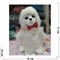 Собака повторюшка цвета ассортимент - фото 120989