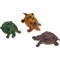 Черепахи лизуны с гидрогелем 12 шт/уп - фото 126040