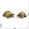 Набор фигурок 2 черепахи - фото 136287