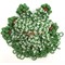Фенечки в связке из бисера зеленые (100 шт) - фото 136434