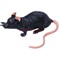 Игрушка резиновая «Крыса» 48 шт/уп - фото 137890