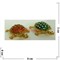 Шкатулка со стразами (4699) черепахи - фото 138425