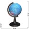Глобус 12 см диаметр - фото 138723