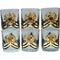 Набор 6 стопок 100 мл герб России квадратные в золоте - фото 146962