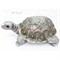 Фигурка черепаха (W72127) полистоун серебро 16 см - фото 153298