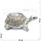 Фигурка черепаха (W72125) полистоун серебро 14 см - фото 153301