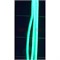 Лента неоновая зеленая с блоком (светодиодная двусторонняя) 5 м - фото 160899