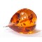Подвеска кулон из янтаря капля оранжевая 2,3 см - фото 161555