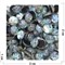 Кабошоны 20 мм круглые из гелиотиса - фото 165101