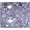 Кабошоны 20 мм «бриллиант» из белого фианита - фото 166276