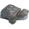 Фигурка черепахи из пирита 3 см - фото 167236