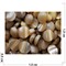Кабошоны круглые перламутр 15 мм кофейный цвет - фото 169316