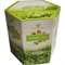 Масляные духи Al-Rehab «Green Tea» 6 мл масло парфюмерное 6 шт/уп - фото 175969