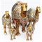Набор 5 верблюдов из полистоуна (NS-400) - фото 179095