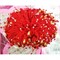 Браслет красная нить «бусина розовый кварц+рыбка» 20 шт/упаковка (HR-D-1550) - фото 194134