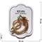 Брошь Дракон с жемчужиной (BP-1332) символ 2024 года 12 шт/упаковка - фото 201422