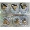 Брошь Крылья со стразами (BP-1089) металлическая 12 шт/упаковка - фото 203156