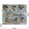 Брошь Крылья со стразами (BP-1089) металлическая 12 шт/упаковка - фото 203157