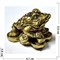 Жабка Фэншуй маленькая (KL-10) из полистоуна - фото 220515