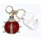 Брелок со стразами (B-156) божья коровка с карабином 12 шт/упаковка - фото 225941